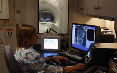 New Biomarker for MS Discovered; Could Replace MRI for Detection