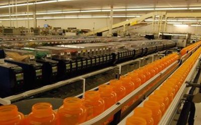 Slow Postal Service Hits Veterans Hard With Medication Delivery Delays