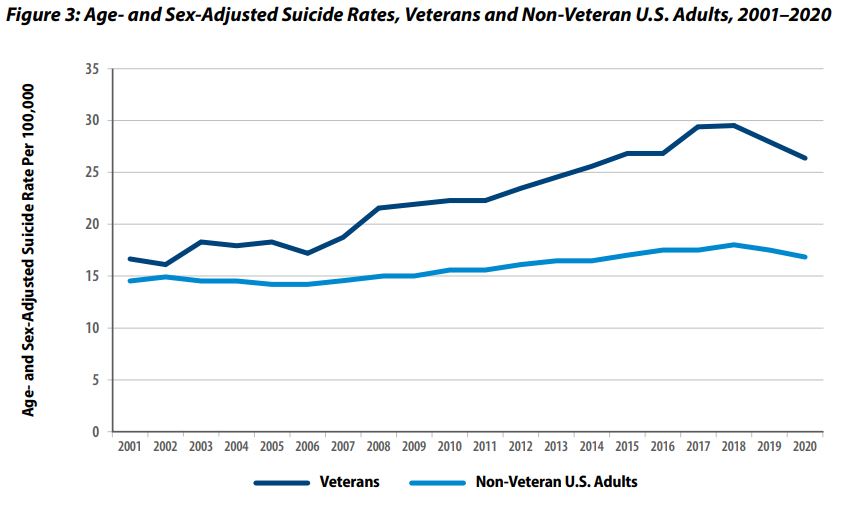 2022 military suicide data