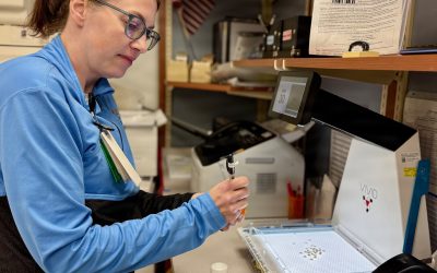 Pharmacogenomic Testing Could Reduce Adverse Effects, Therapeutic Failure in MHS